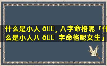 什么是小人 🕸 八字命格呢「什么是小人八 🐠 字命格呢女生」